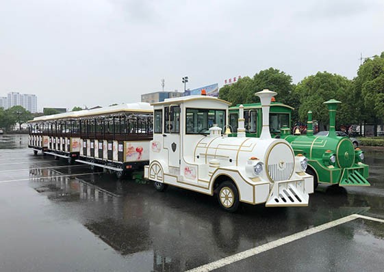 旅游觀光小火車(chē)定制-樣式